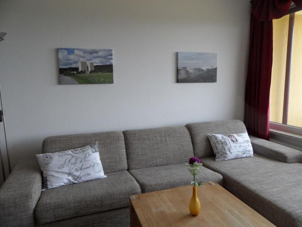 Ferienapartment Mit Schwimmbad Und Bergblick Braunlage Exteriér fotografie